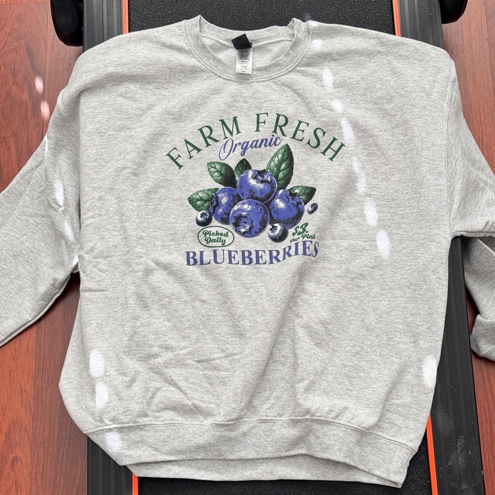 Sweet Claire Light Gray Sweatshirt